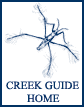 Creek Guide Home