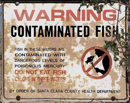 Warning Contaminated Fish