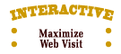 Maximize Your Web Visit